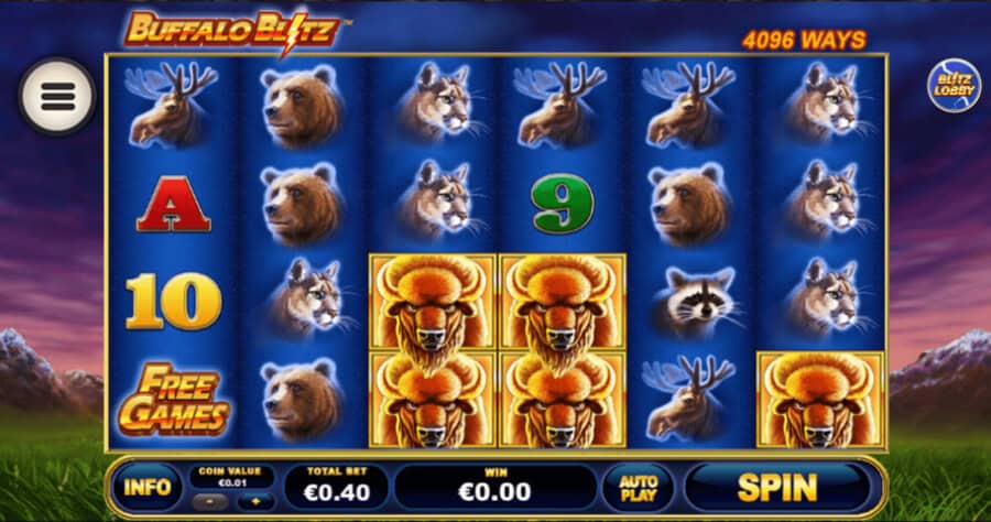 Buffalo Blitz Dan Raungan Bison Liar Sarat Aura Keberanian